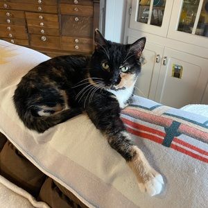 Meet your Posher, Robbie